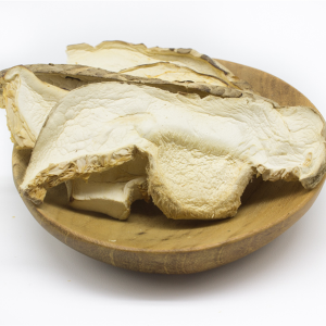 Shiitake Mushroom