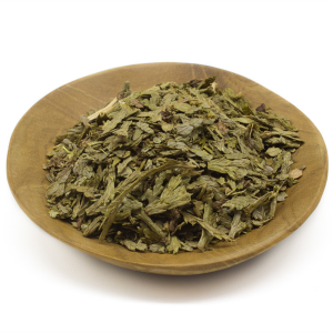 Thuja