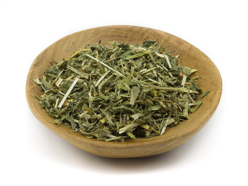Alfalfa Leaf