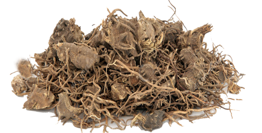 Blue Cohosh Root