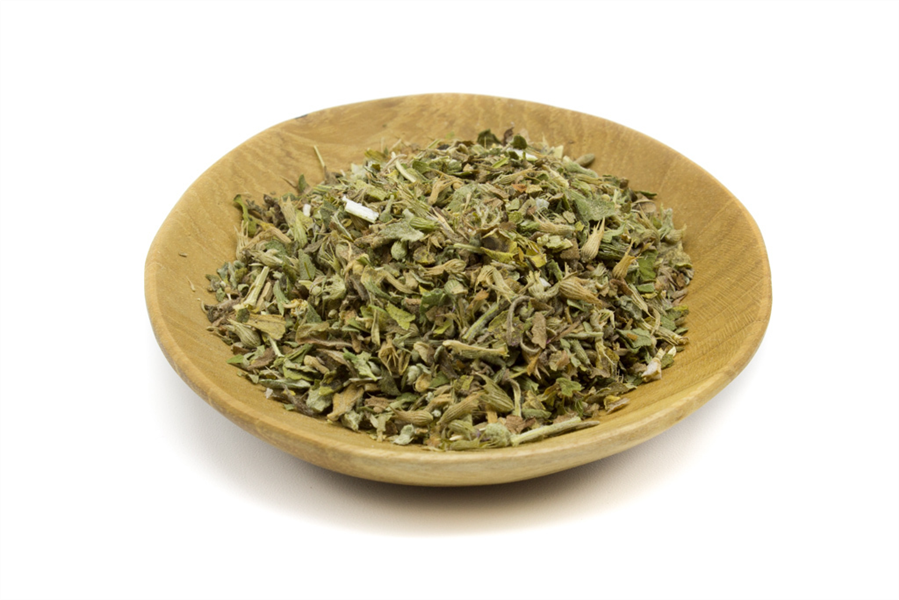 Catnip