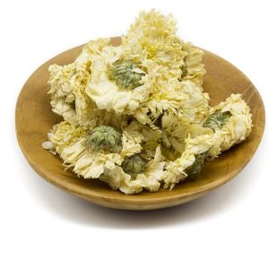 Chrysanthemum Flower