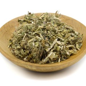 Epilobium