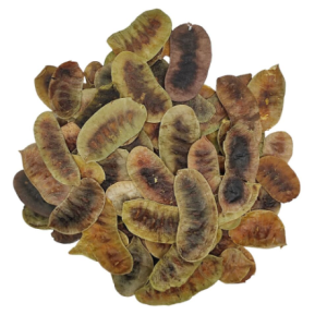 Senna Pods